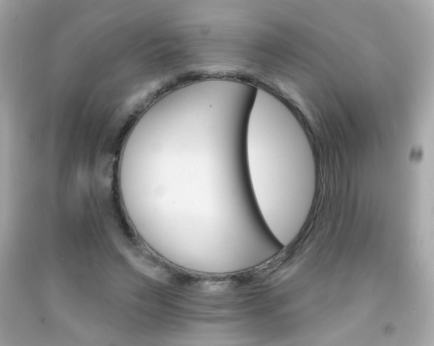 X0000092080495200709121108