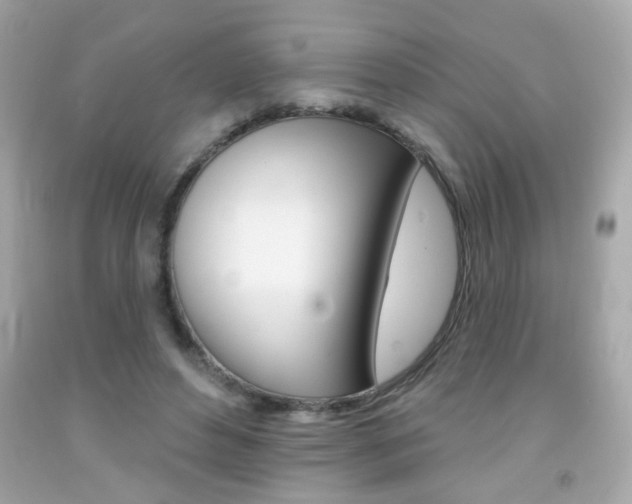 X0000092080496200709121108