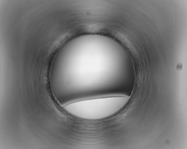 X0000092080497200709121108