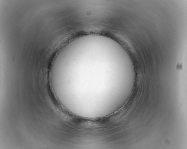 X0000092080498200709121108