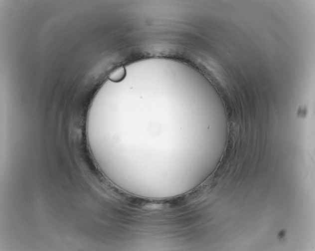 X0000092080499200709121108