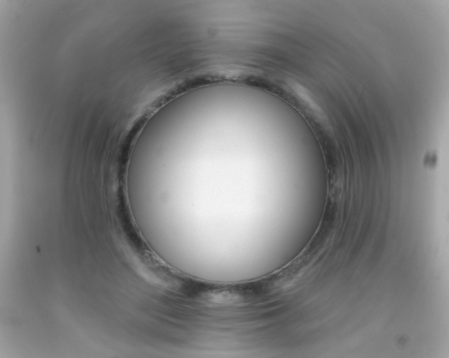 X0000092080500200709121108