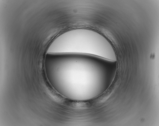 X0000092080501200709121108