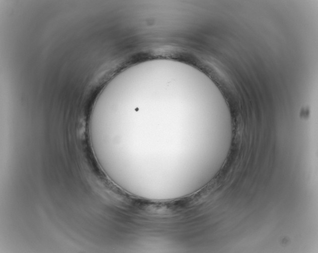 X0000092080502200709121108