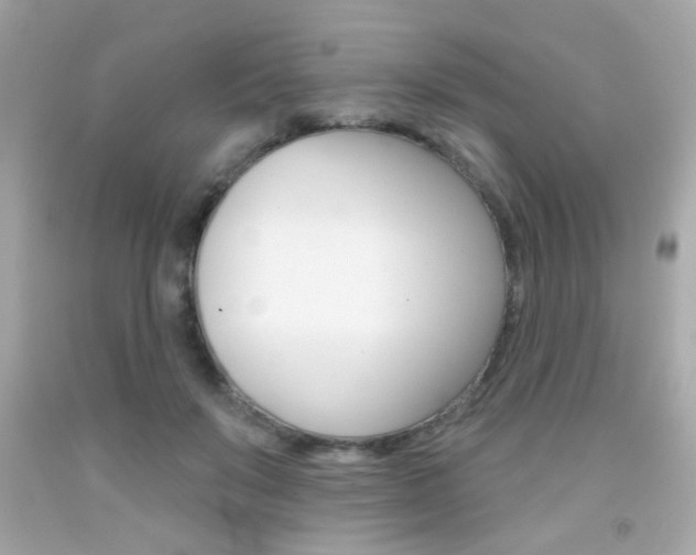 X0000092080503200709121108