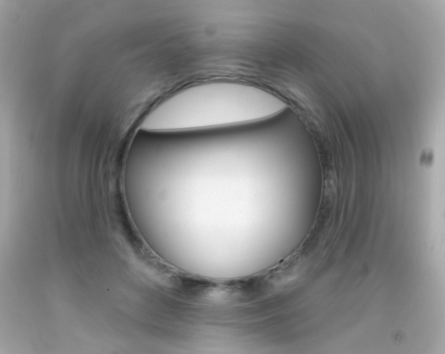 X0000092080504200709121108