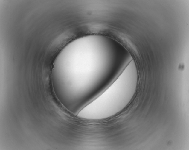 X0000092080505200709121108