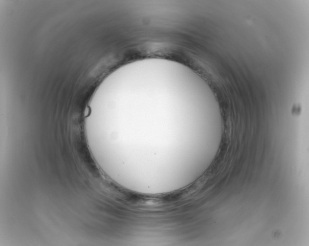 X0000092080506200709121108