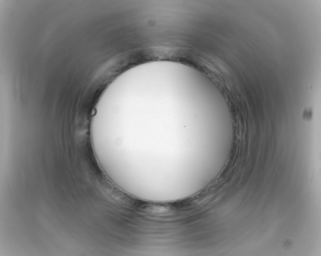 X0000092080507200709121108