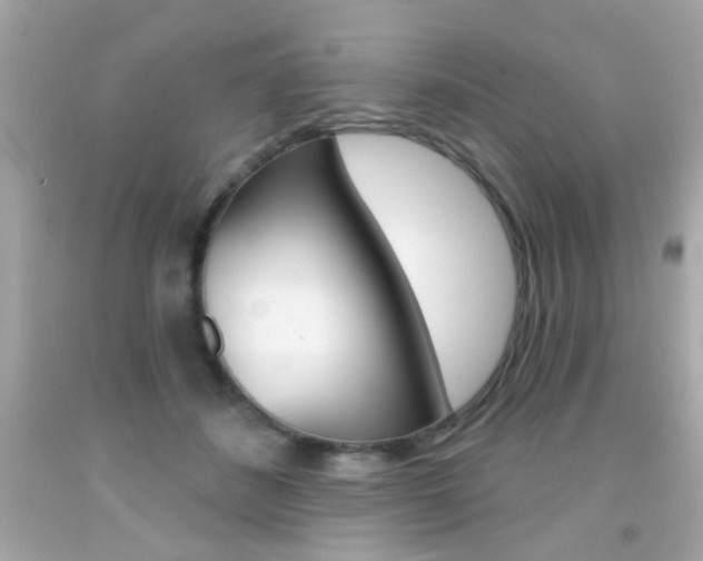 X0000092080508200709121108