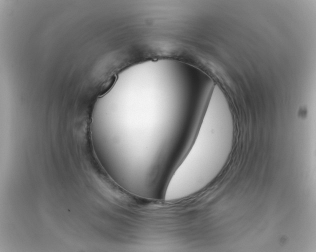 X0000092080509200709121108