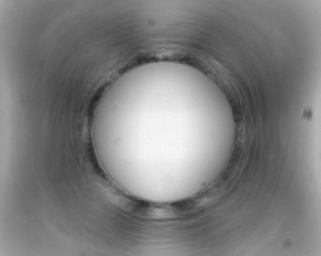 X0000092080510200709121108