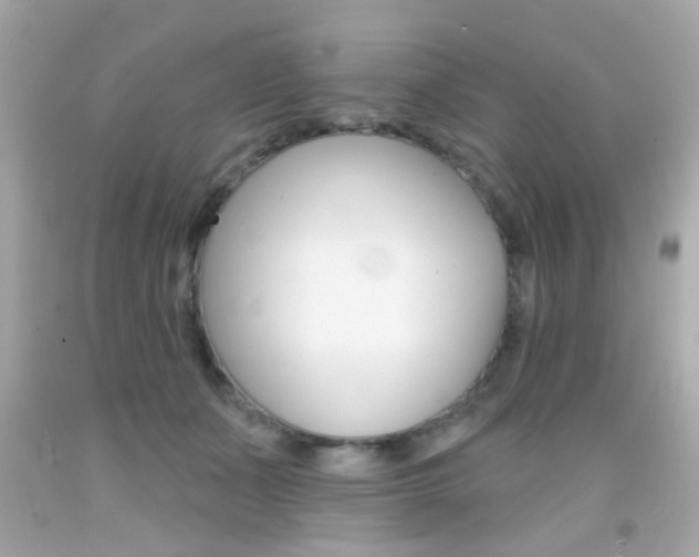X0000092080511200709121108