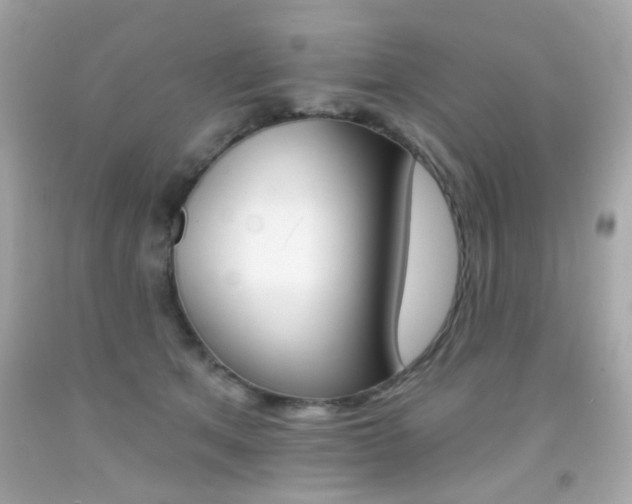 X0000092080513200709121108