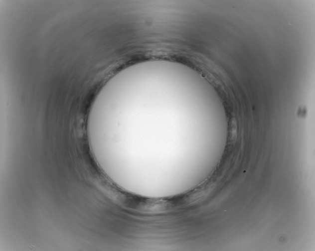 X0000092080514200709121108