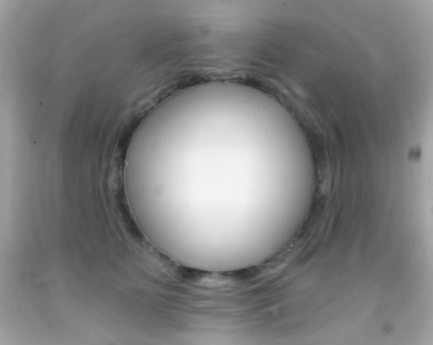 X0000092080515200709121108