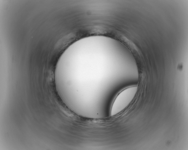 X0000092080517200709121108