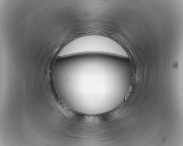 X0000092080520200709121108
