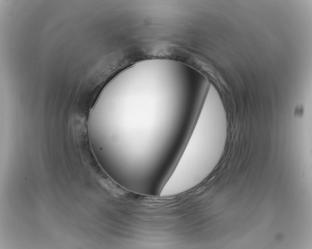 X0000092080521200709121108