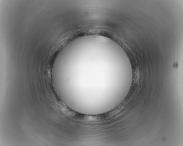X0000092080522200709121108