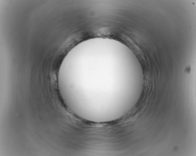 X0000092080523200709121108