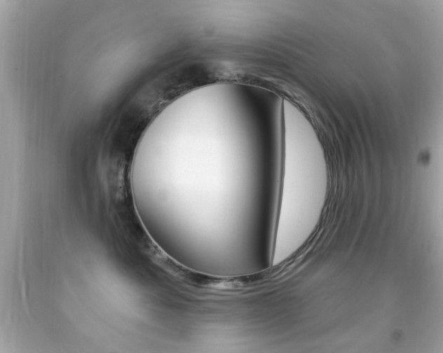 X0000092080525200709121108