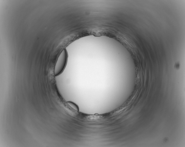 X0000092080526200709121108