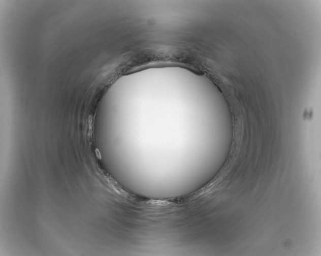 X0000092080528200709121108