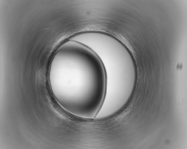 X0000092080530200709121107
