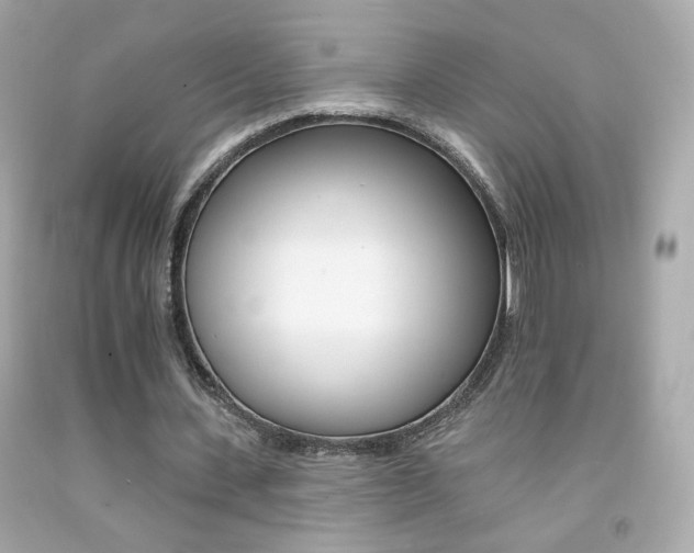 X0000092080531200709121107