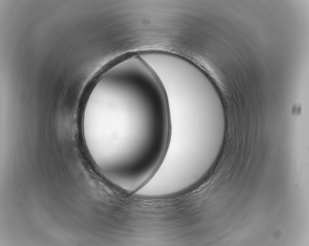 X0000092080532200709121108