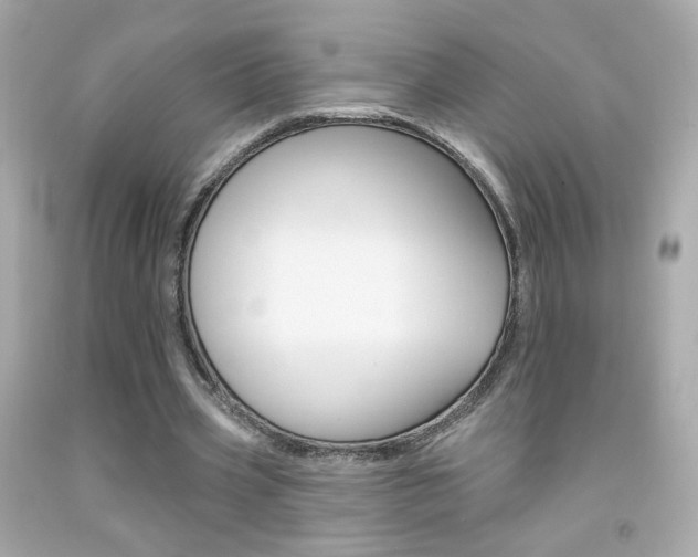 X0000092080533200709121108
