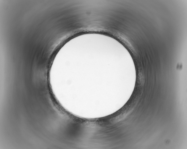 X0000092080534200709121108