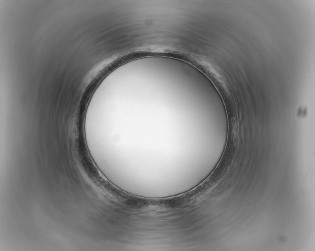 X0000092080536200709121108