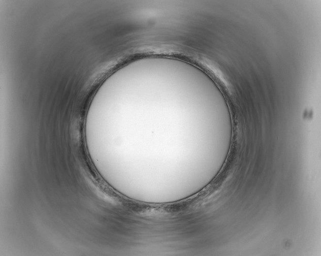 X0000092080537200709121108