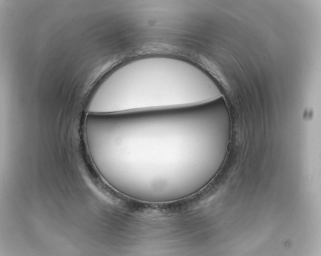 X0000092080538200709121108