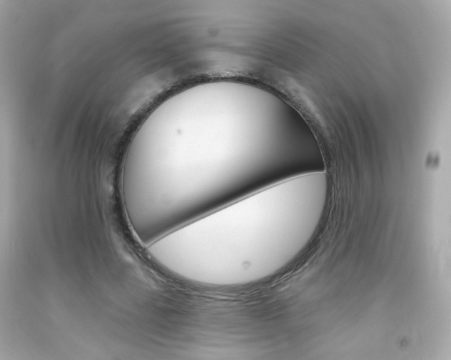 X0000092080539200709121108