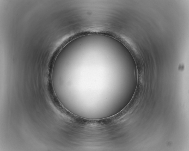 X0000092080540200709121108