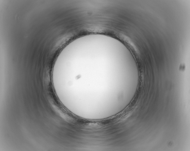 X0000092080541200709121108