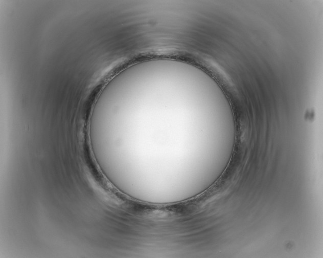 X0000092080542200709121108