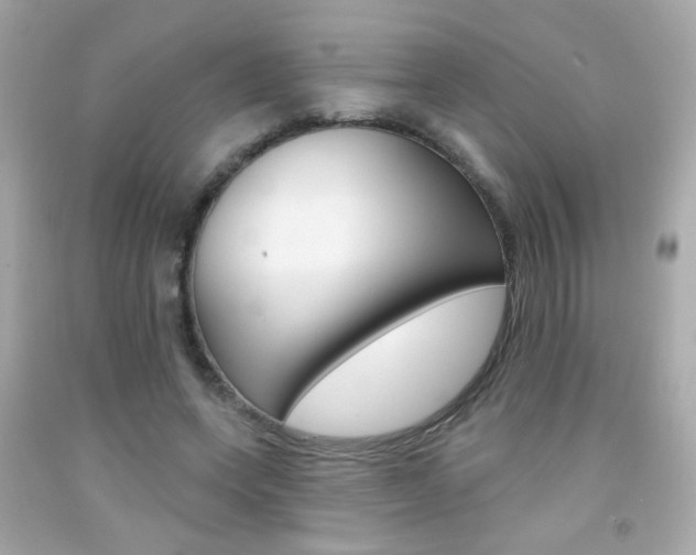 X0000092080543200709121108