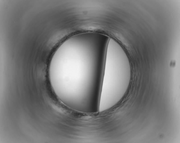 X0000092080544200709121108