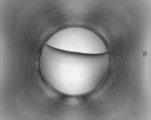 X0000092080545200709121108