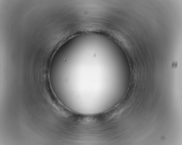 X0000092080546200709121108
