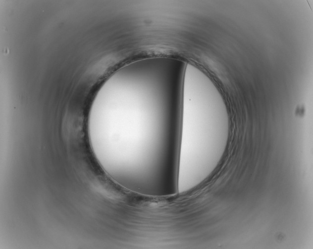 X0000092080548200709121108