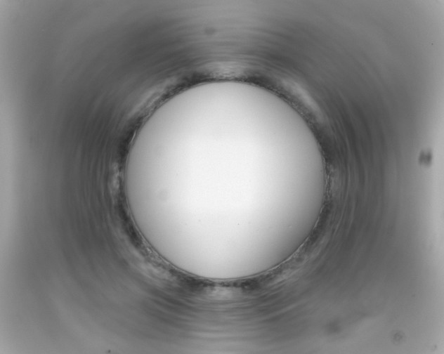X0000092080549200709121108