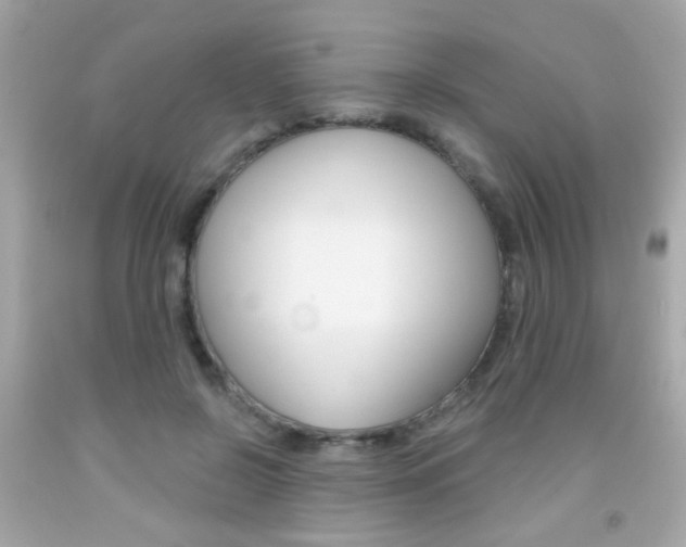 X0000092080550200709121108