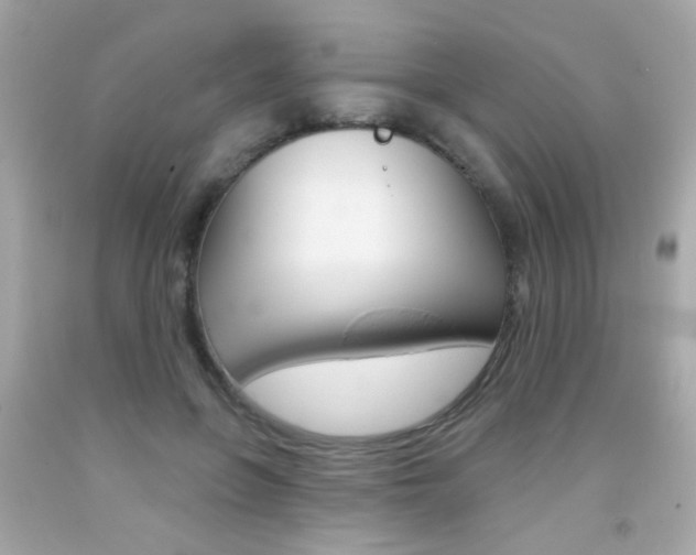 X0000092080551200709121108