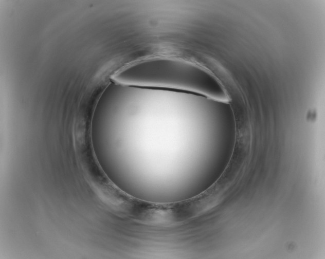 X0000092080552200709121108
