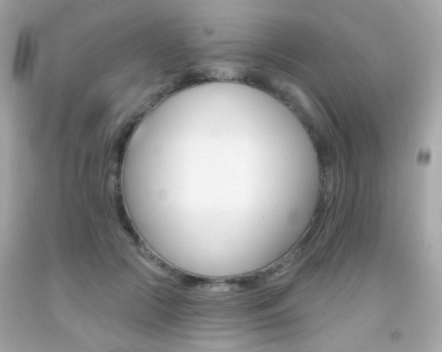 X0000092080553200709121108